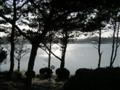 Reflections on Tai Lake